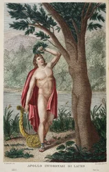 Dafne in alloro o Apollo incoronato di alloro, illustrazione dalle Metamorfosi di Ovidio, Firenze, 1832